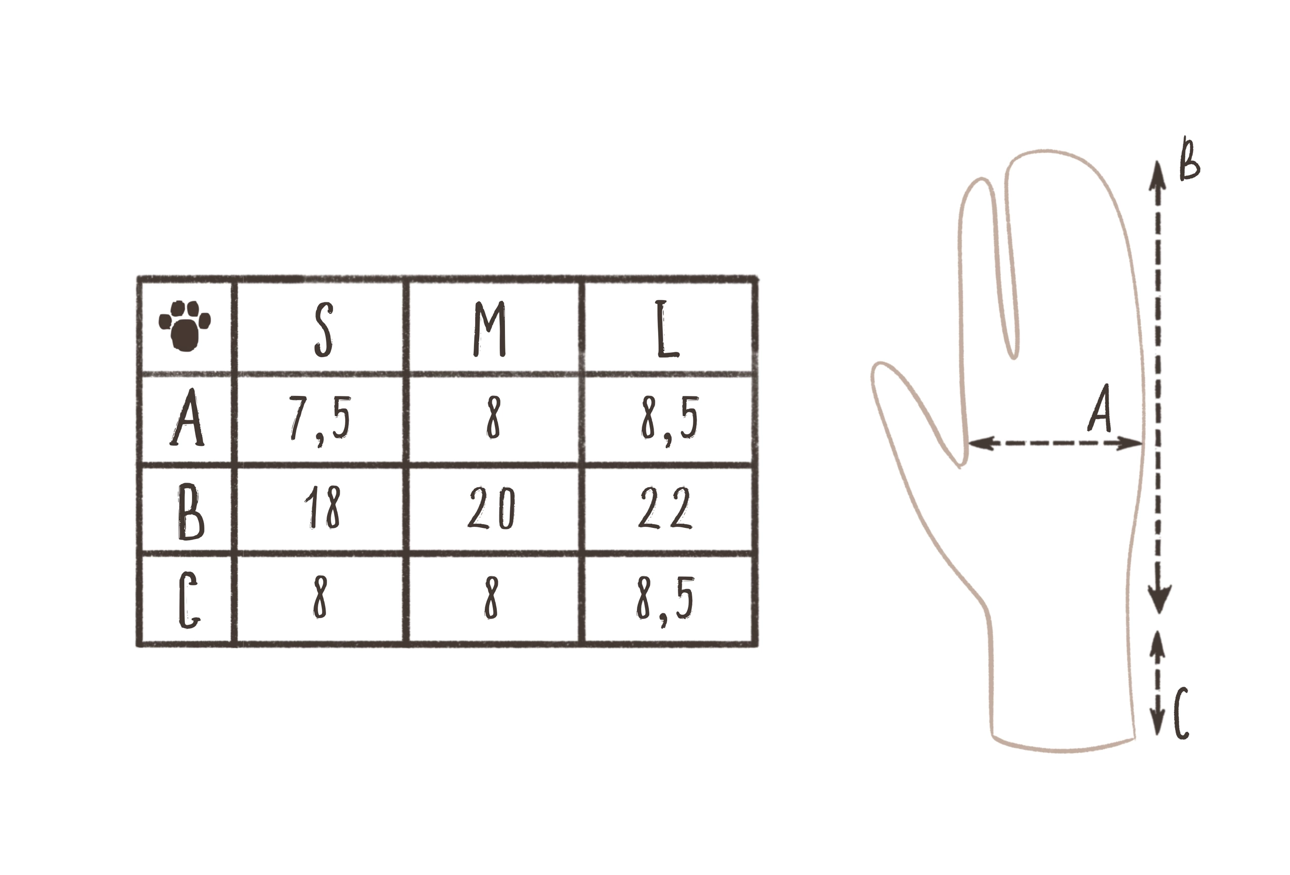 Размерная сетка